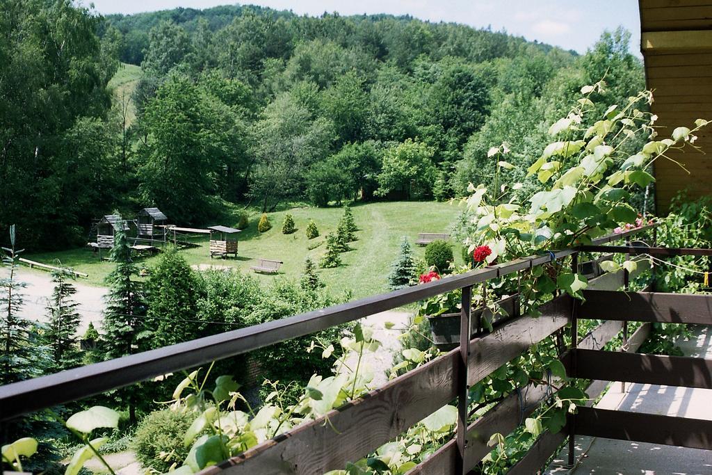 Willa Anna Maria Wysowa-Zdrój Exteriér fotografie